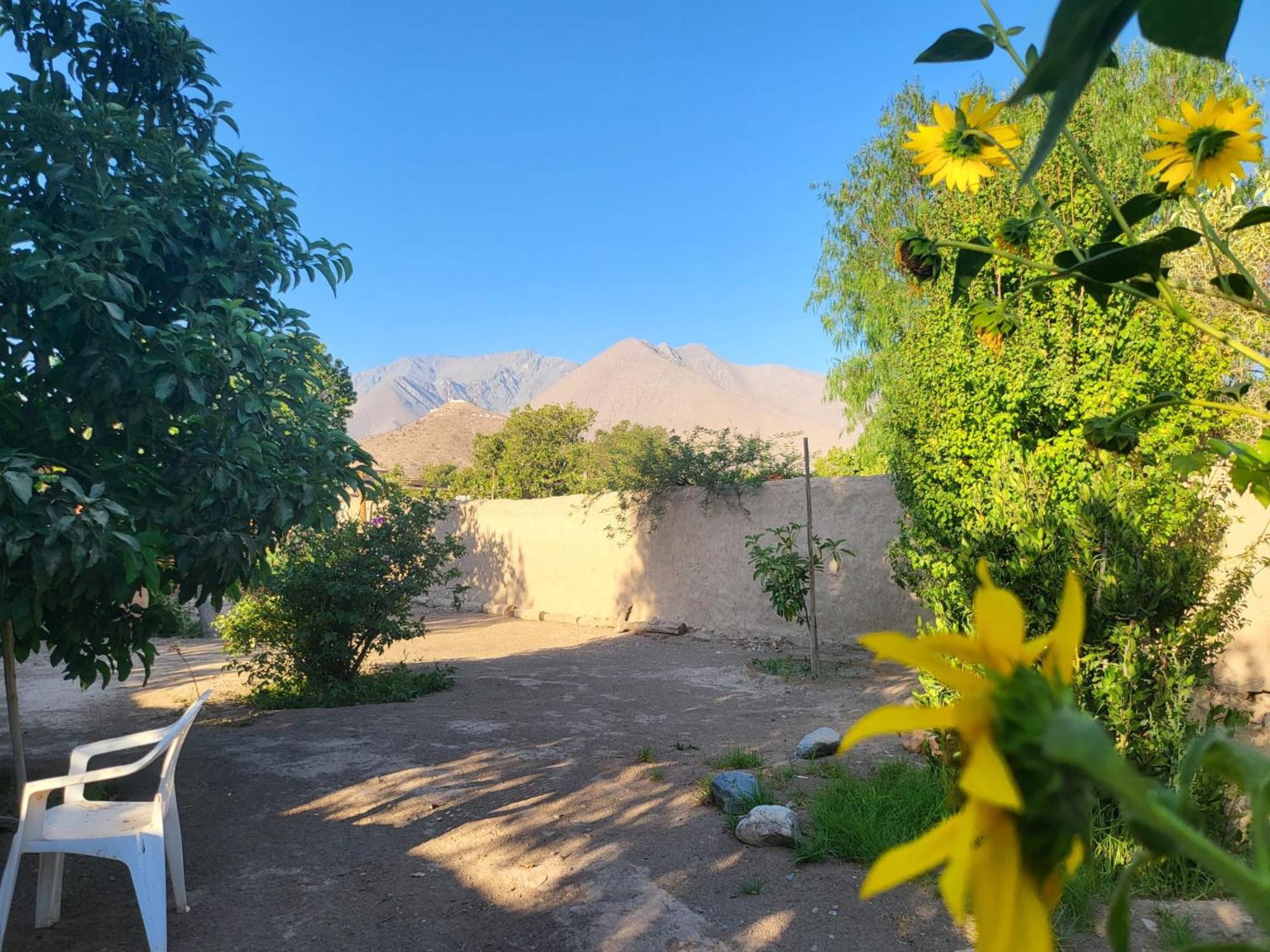 Scorpius Hostel Vicuña المظهر الخارجي الصورة